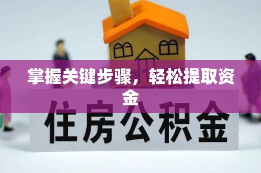 九原掌握关键步骤，轻松提取资金