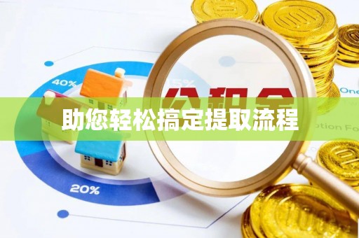 九原助您轻松搞定提取流程