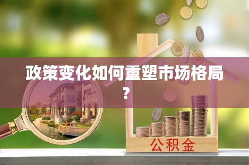 九原政策变化如何重塑市场格局？