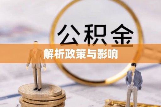 九原解析政策与影响