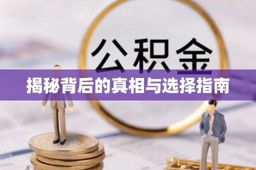 九原揭秘背后的真相与选择指南