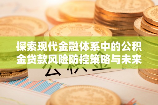 九原探索现代金融体系中的公积金贷款风险防控策略与未来发展趋势