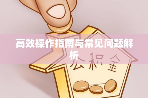 九原高效操作指南与常见问题解析