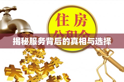 九原揭秘服务背后的真相与选择
