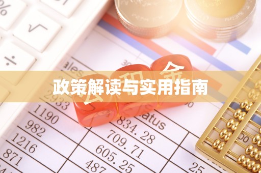九原政策解读与实用指南