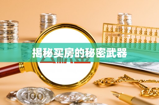 九原揭秘买房的秘密武器