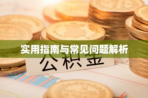 九原实用指南与常见问题解析