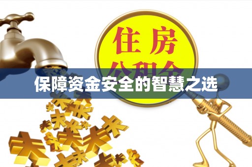 九原保障资金安全的智慧之选