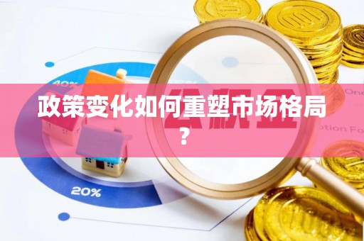 九原政策变化如何重塑市场格局？