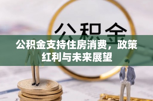 九原公积金支持住房消费，政策红利与未来展望