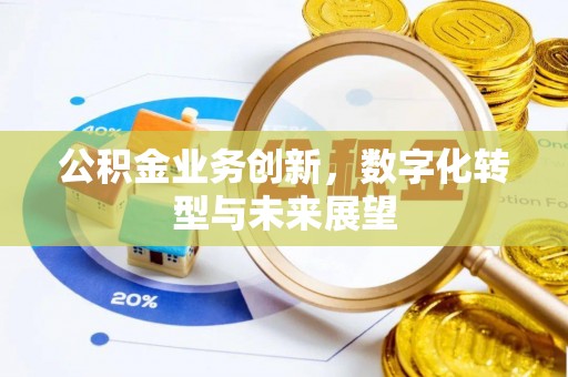 九原公积金业务创新，数字化转型与未来展望
