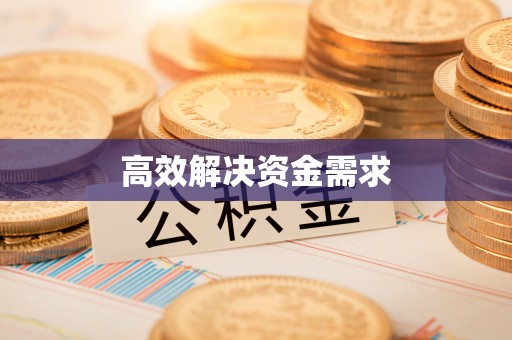 九原高效解决资金需求