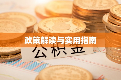 九原政策解读与实用指南