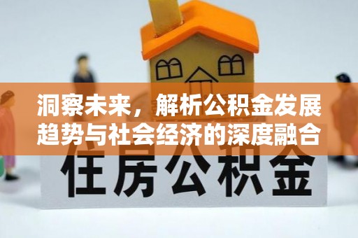 九原洞察未来，解析公积金发展趋势与社会经济的深度融合