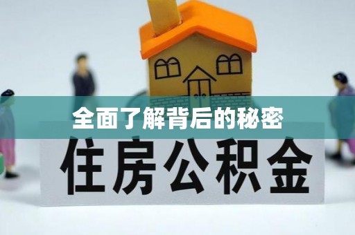 九原全面了解背后的秘密