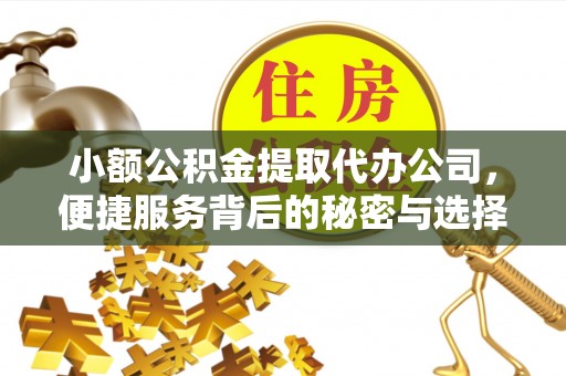 九原小额公积金提取代办公司，便捷服务背后的秘密与选择指南