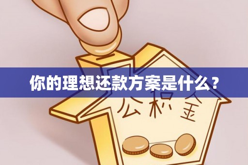 九原你的理想还款方案是什么？