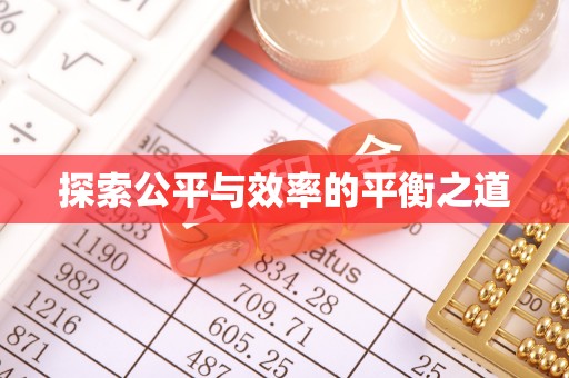 九原探索公平与效率的平衡之道