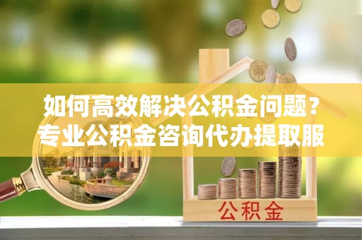 九原如何高效解决公积金问题？专业公积金咨询代办提取服务来帮你