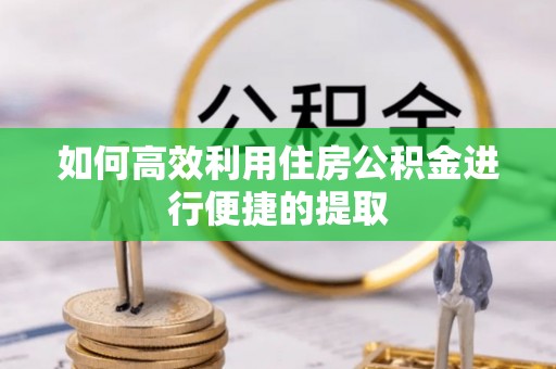 九原如何高效利用住房公积金进行便捷的提取