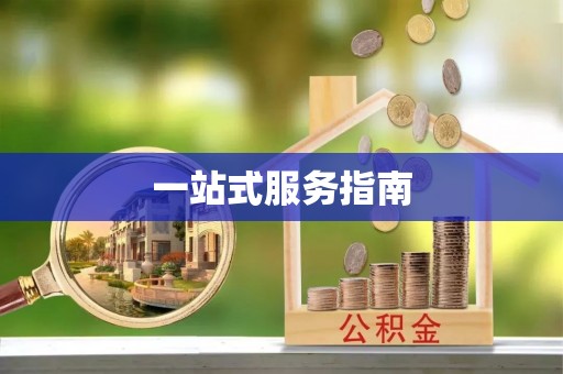 九原一站式服务指南