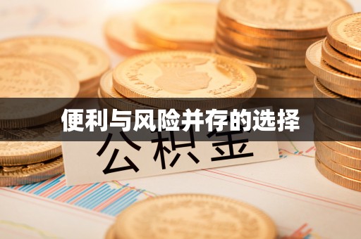 九原便利与风险并存的选择