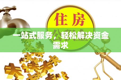 九原一站式服务，轻松解决资金需求